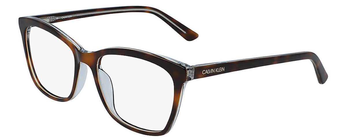 (251) SOFT TORTOISE/LIGHT BLUE