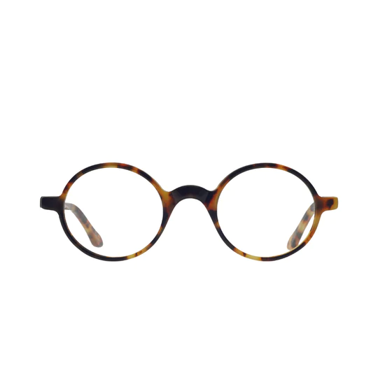 Tokyo Tortoise