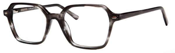 Grey Tortoise