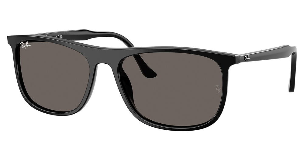 Ray-Ban RB2216F round sunglasses in Black/Dark Grey