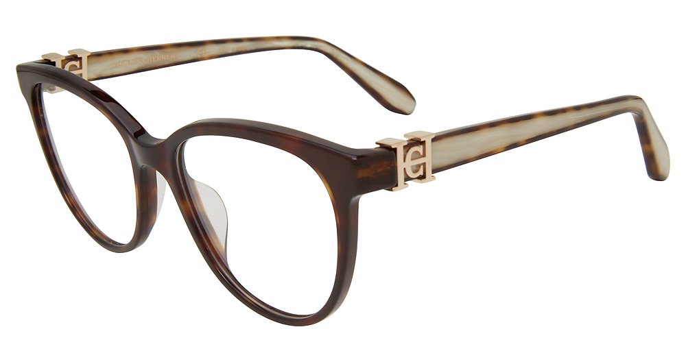Tortoise 0722