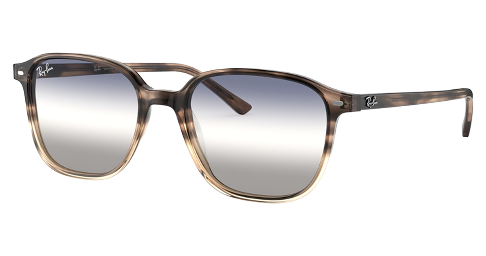 Ray-Ban RB2193 LEONARD round sunglasses in Gradient Brown Havana