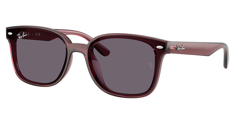 TRANSPARENT DARK BROWN / VIOLET