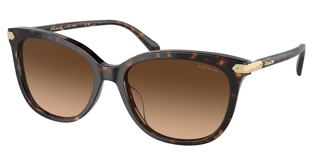 DARK TORTOISE / BROWN GRADIENT