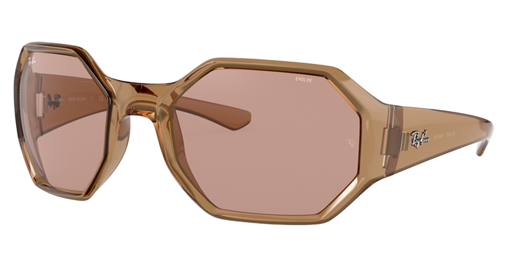 TRANSPARENT BROWN / EVOLVE PHOTO BROWN TO DK BROWN