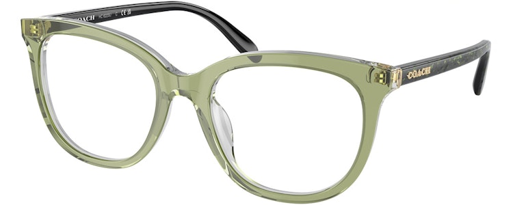 TRANSPARENT GREEN HOPPER