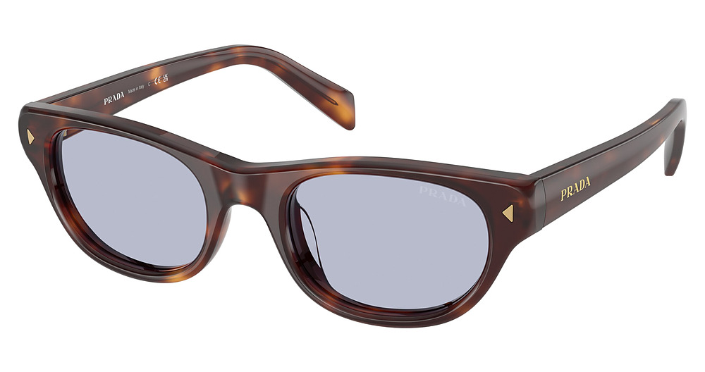 CLASSIC TORTOISE / BLUE