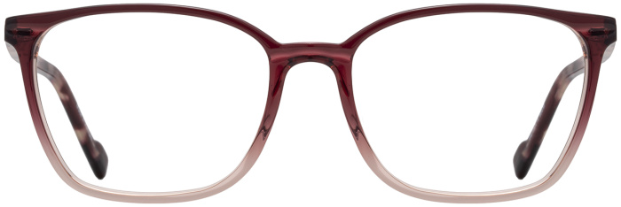 Berry Fade / Berry Tortoise