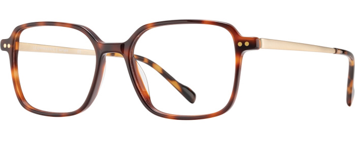 Tortoise / Gold