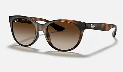 HAVANA / BROWN GRADIENT DARK BROWN