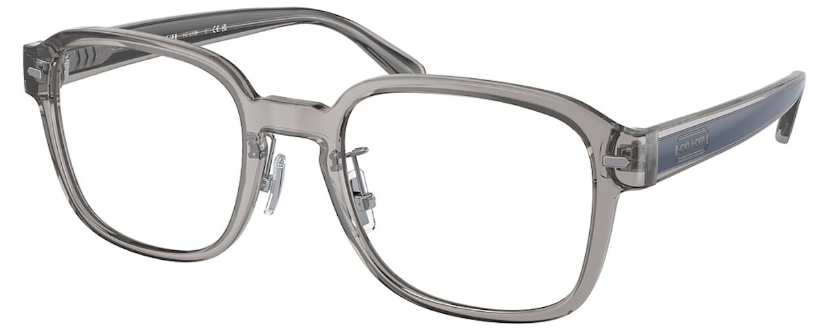 TRANSPARENT GREY / DEMO