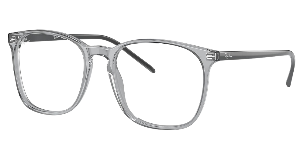 Ray-Ban RX5387 round eyeglasses in Transparent Grey