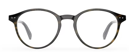 TORTOISE GREY