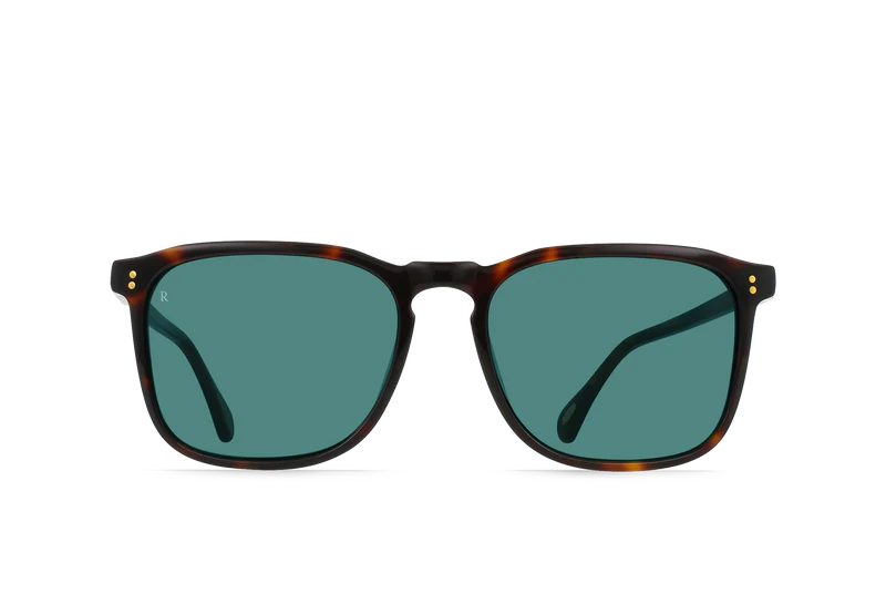 Kola Tortoise / Pacifica