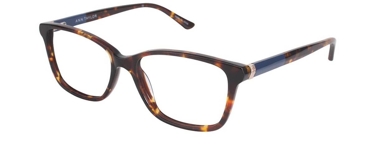 TORTOISE/NAVY