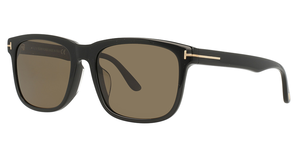 shiny black / brown polarized