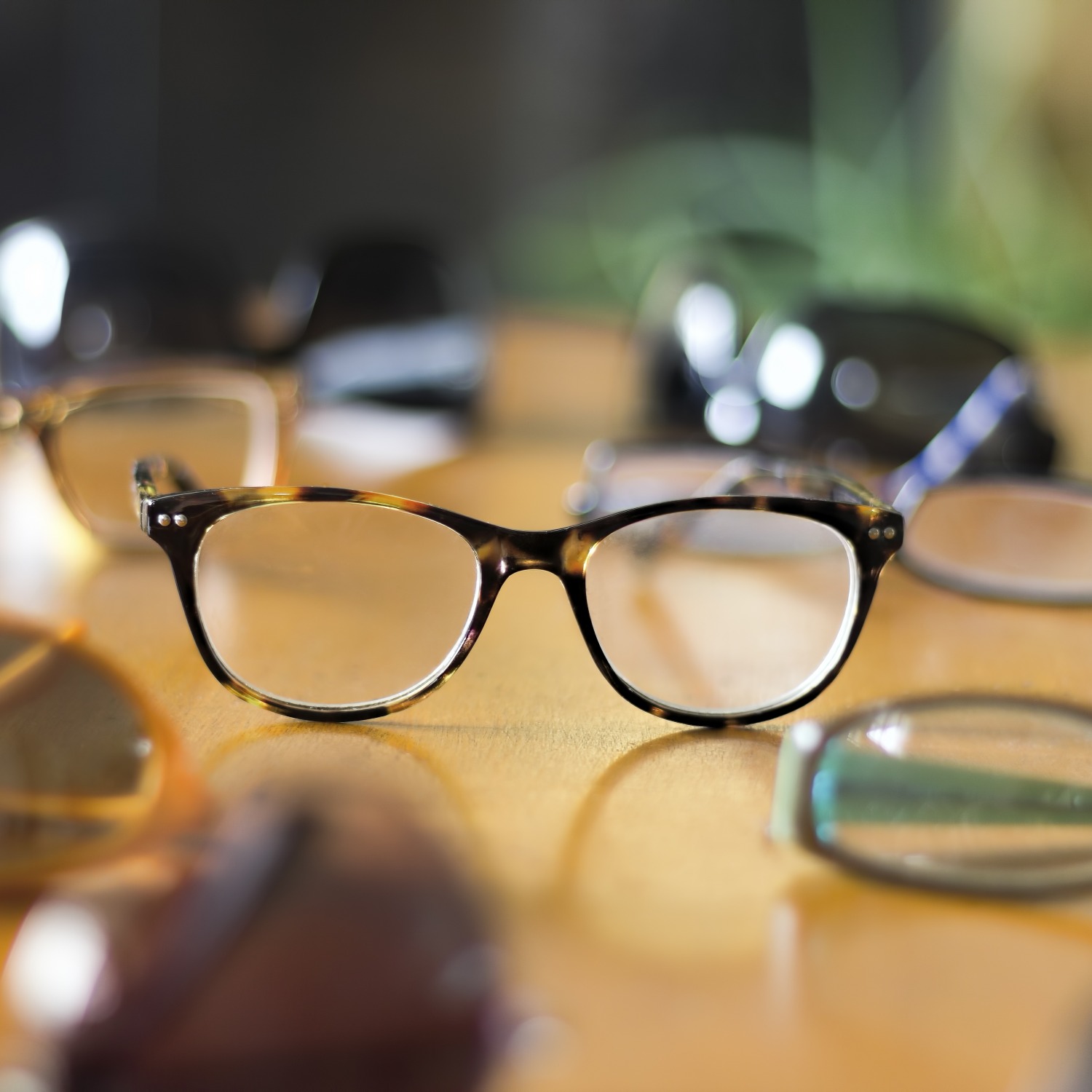 Welcome to our store!