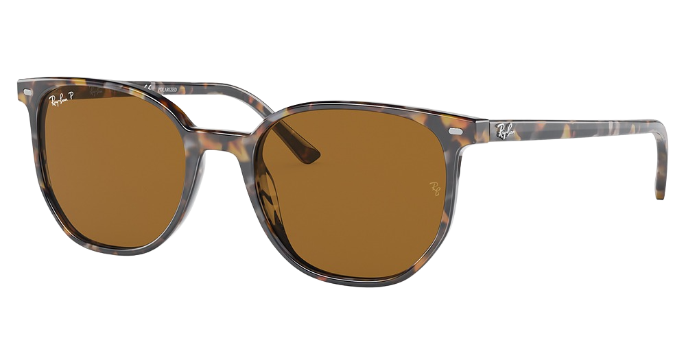 HAVANA BROWN GREY / BROWN POLAR