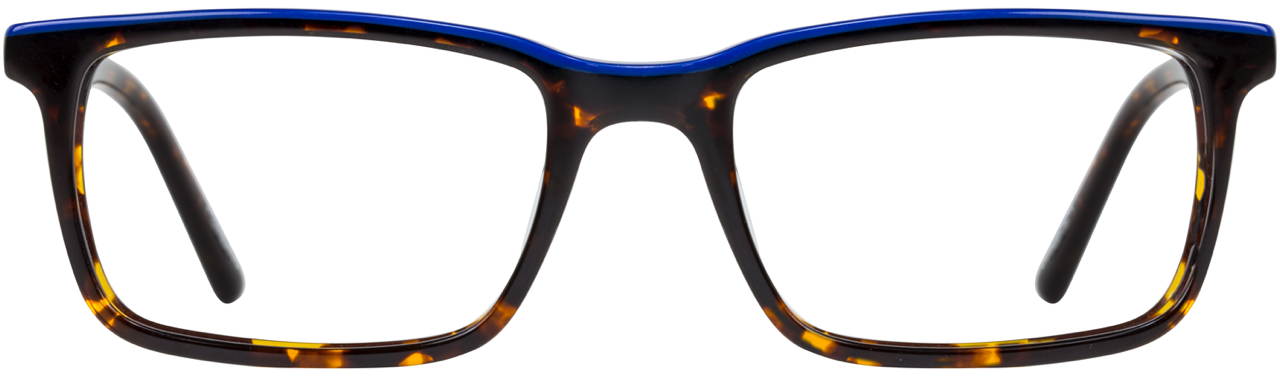 Tortoise / Royal Blue