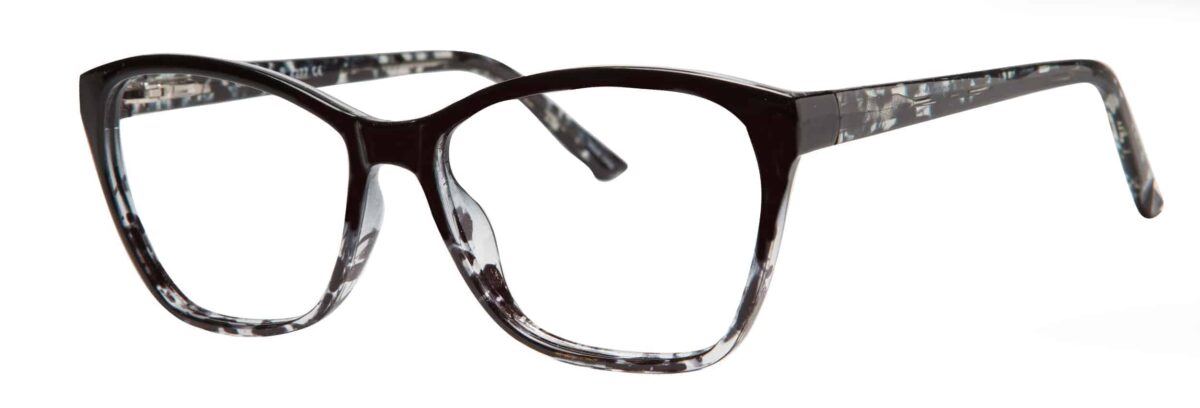 Black Tortoise