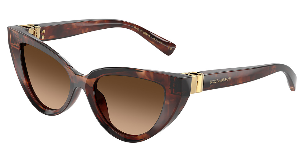 DARK RED HAVANA / BROWN GRADIENT