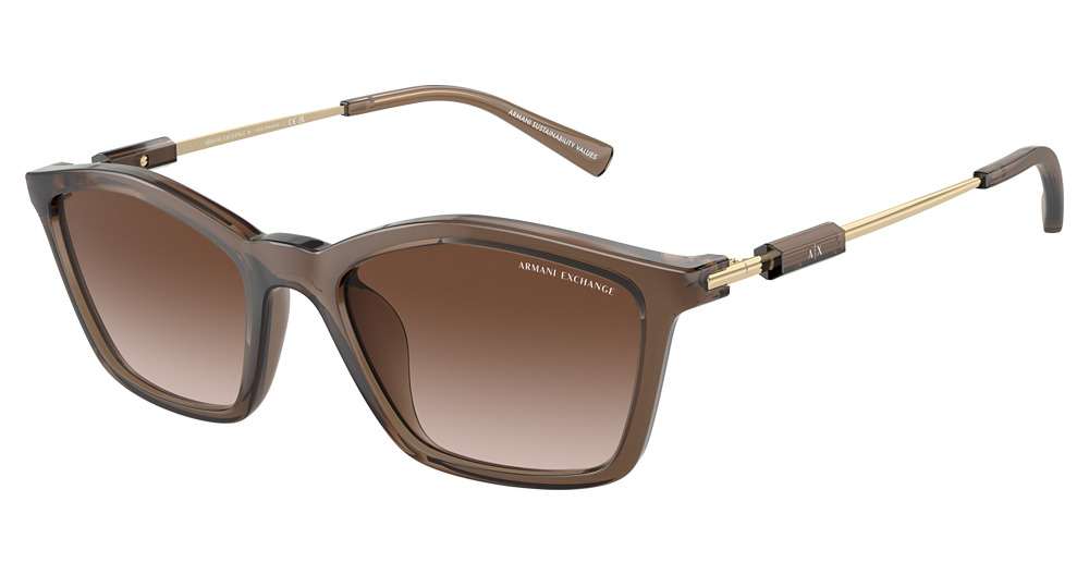 SHINY TRANSPARENT BROWN / GRADIENT BROWN