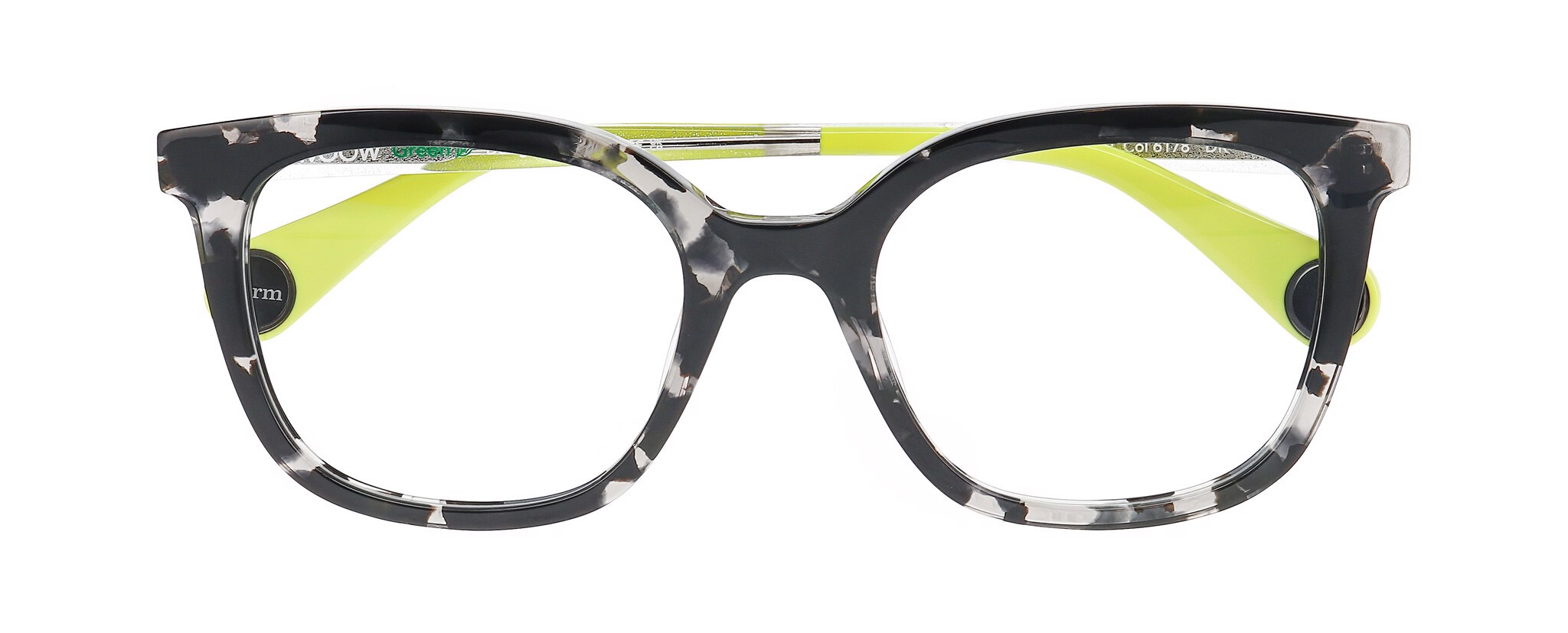 BLACK TORTOISE
