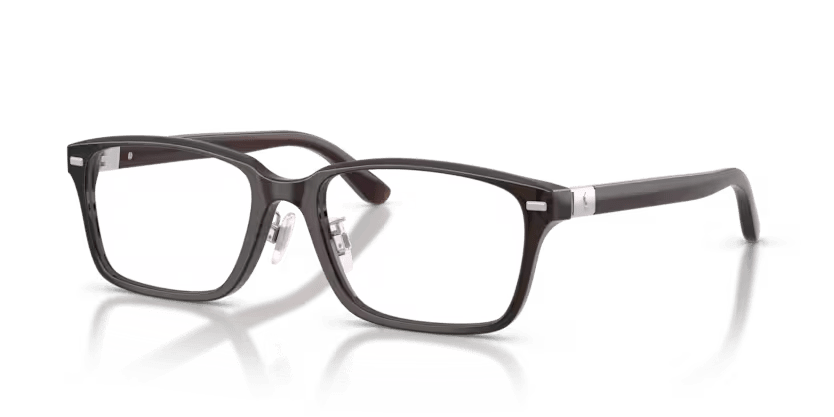 SHINY TRANSPARENT BROWN