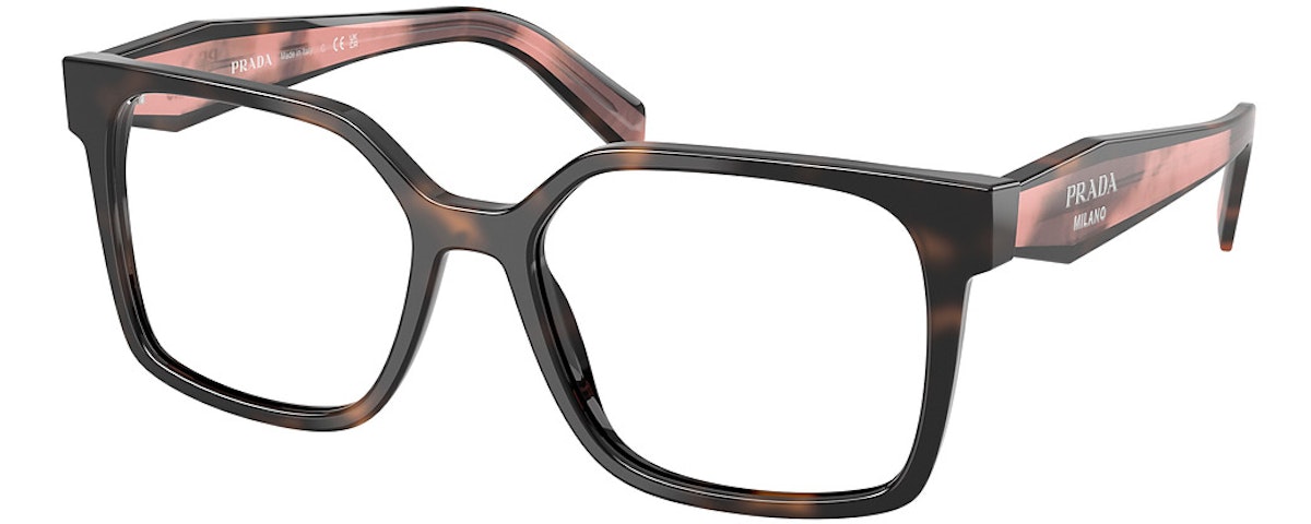 MAUVE TORTOISE