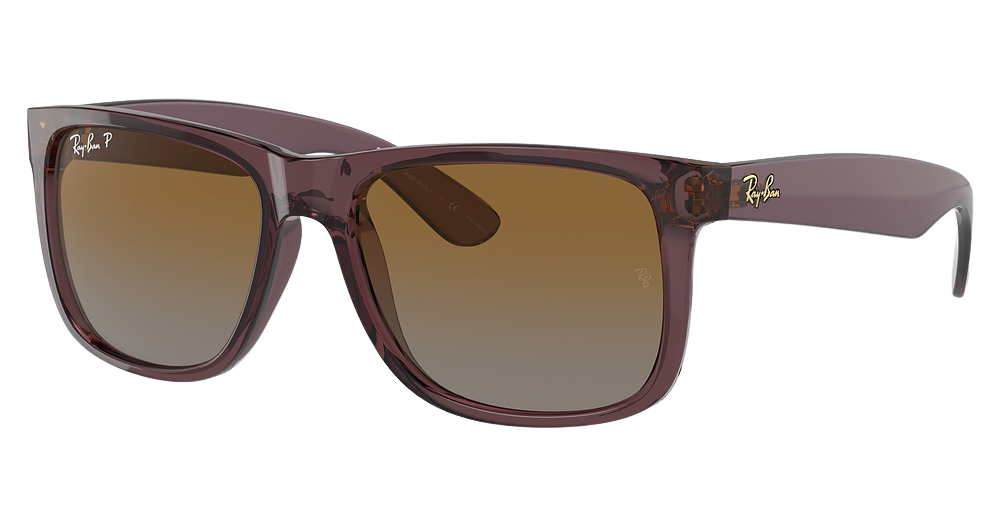 TRANSPARENT DARK BROWN / GRADIENT BROWN POLAR