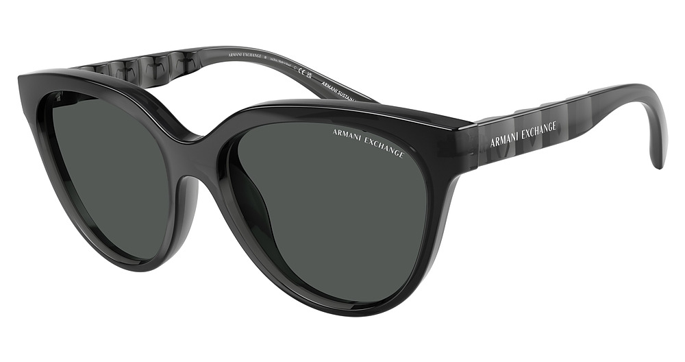 SHINY TRANSPARENT GREY / DARK GREY
