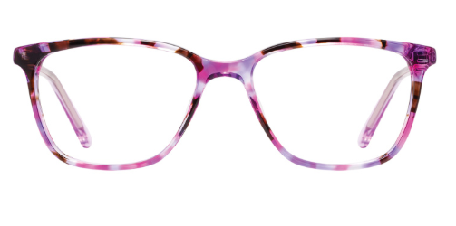 Magenta Tortoise