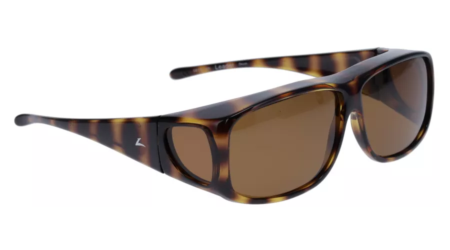 Shiny Tortoise / Amber lens