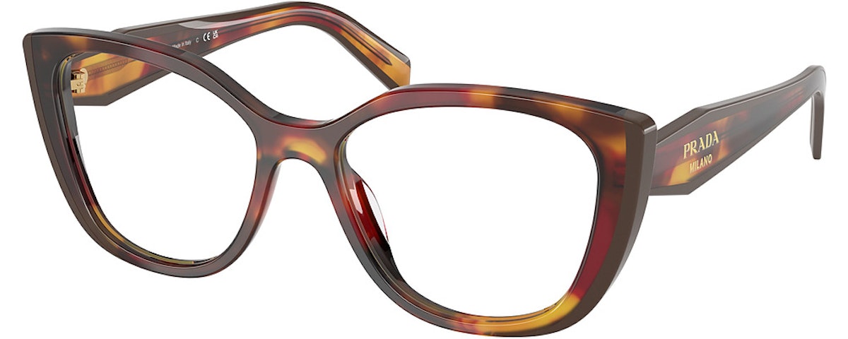 POPPY TORTOISE/BORDEAUX