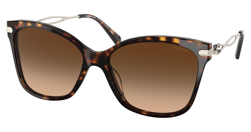 DARK TORTOISE / BROWN GRADIENT