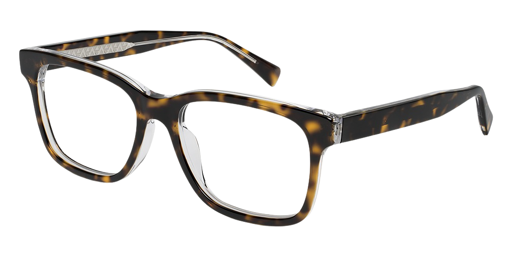 Dark Tortoise with Crystal interior