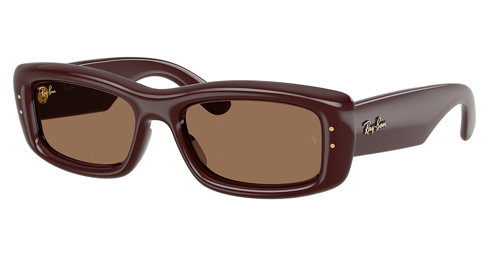 TRANSPARENT DARK BROWN / DARK BROWN
