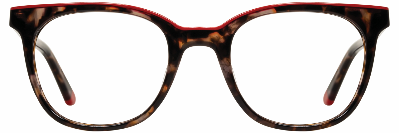 Tortoise Demi / Red