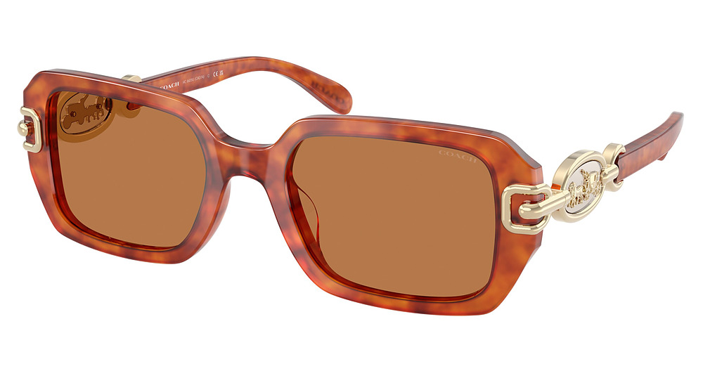 CARAMEL TORTOISE / AMBER SOLID