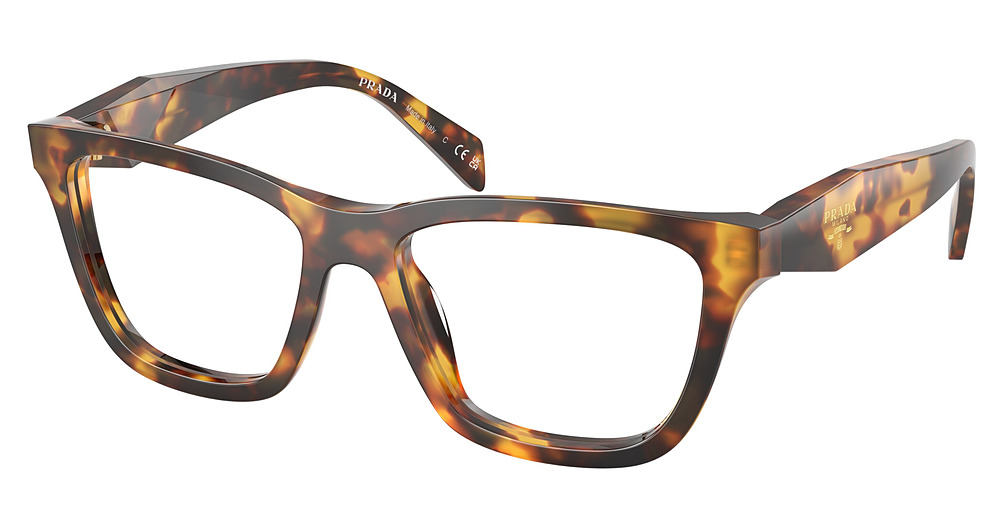 HONEY TORTOISE