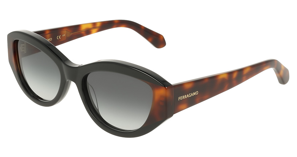 BLACK/TORTOISE