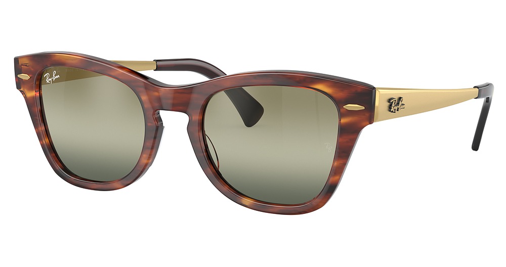 Ray-Ban RB0707SM round sunglasses in Striped Havana/Green Vintage