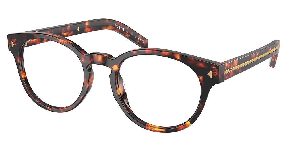 MAGMA TORTOISE
