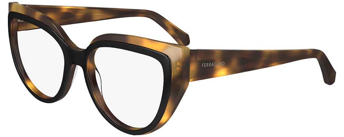 TORTOISE/BLACK
