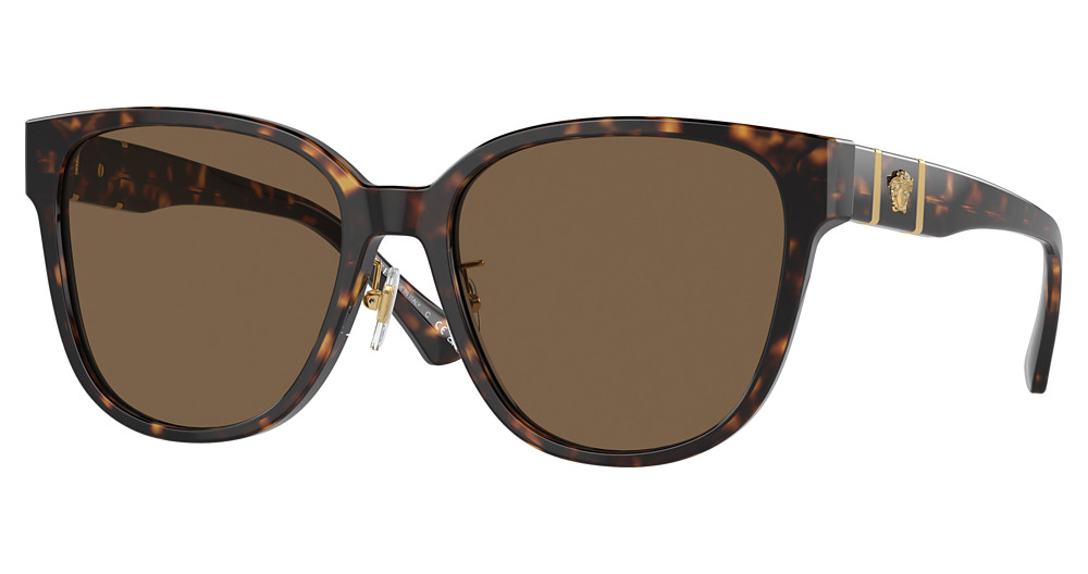 DARK HAVANA / DARK BROWN