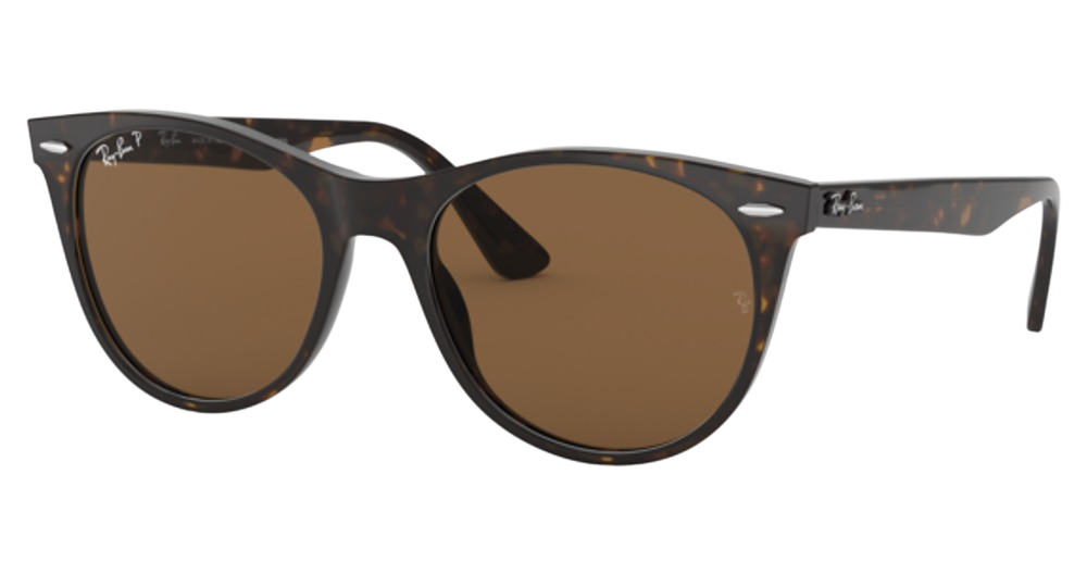 TORTOISE / B-15 BROWN