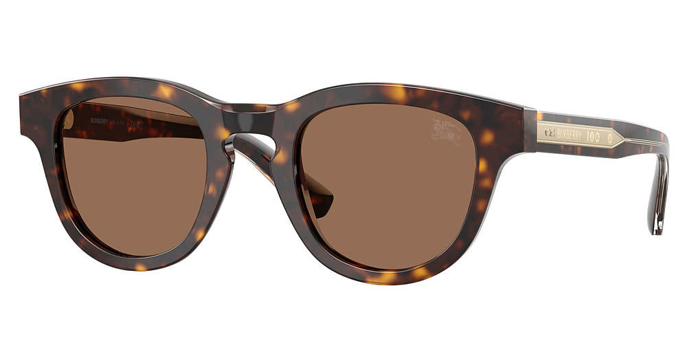 DARK HAVANA / DARK BROWN