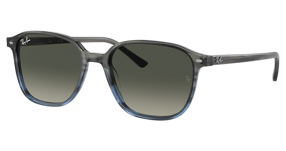 Ray-Ban RB2193 LEONARD round sunglasses in Striped Grey Gradient Bl/Grey Gradient