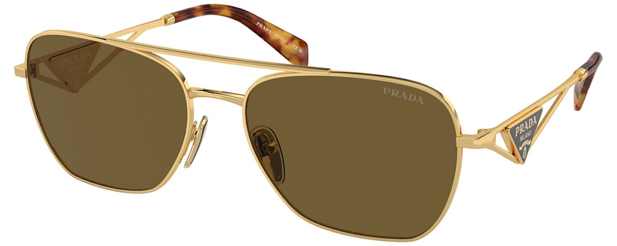 GOLD / DARK BROWN