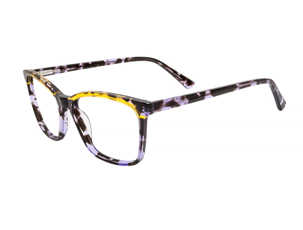 Amber/Purple Tortoise